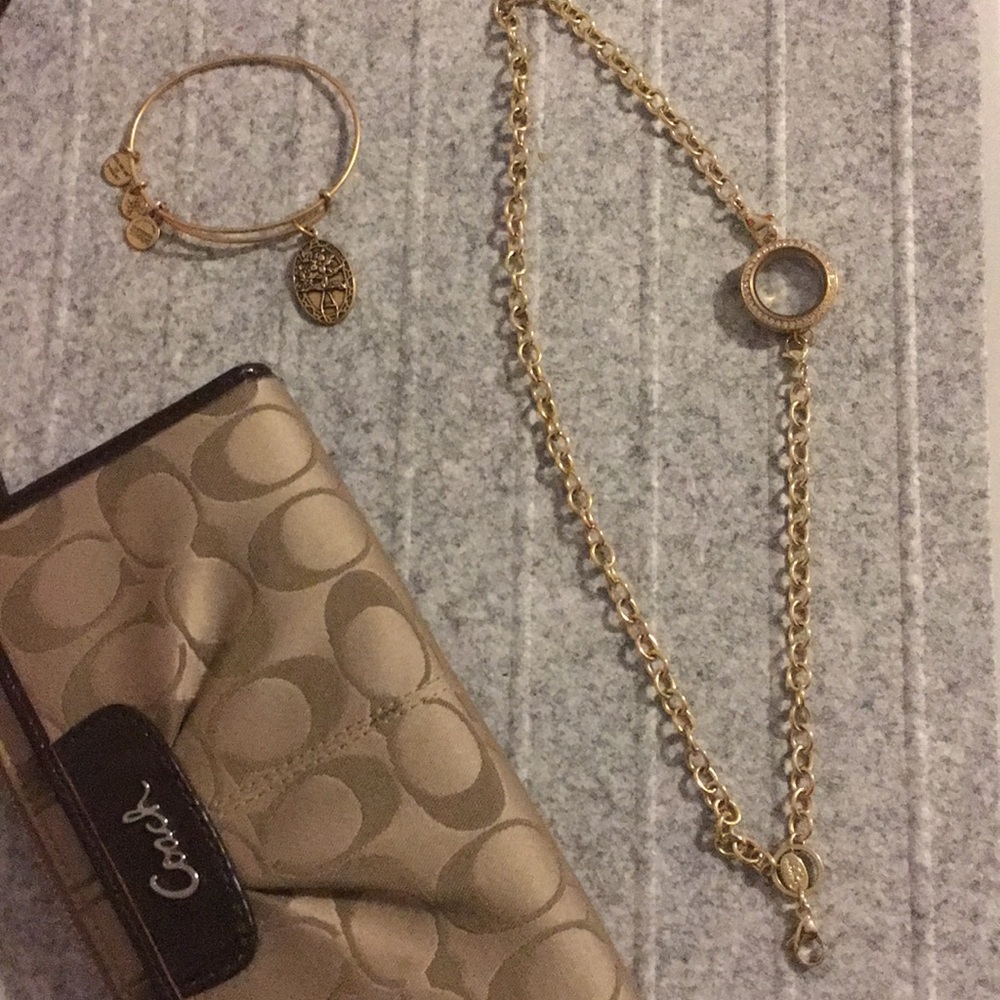 Origami owl necklace